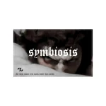 symbiosis | Рушник №8 L'Ange déchu